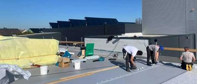 Drei Jungunternehmer im Aufwind: SWG Dach & Wand