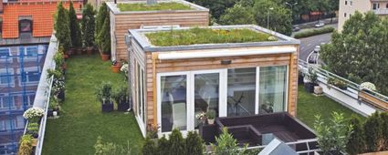 Der eigene Garten auf dem Dach: Arten der Dachbegrünung (Teil II)