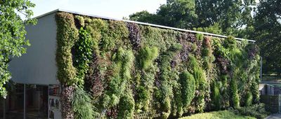 Living Wall gewinnt Preis für Fassadenbegrünung 2022