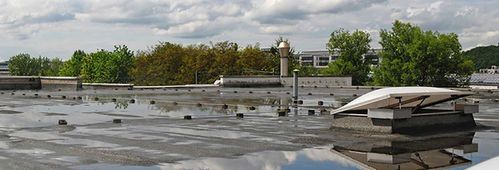 Ist stehendes Wasser auf Flachdächern ein Problem?