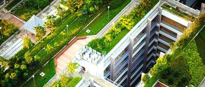 Intensive Dachbegrünung: Der Flachdach Garten